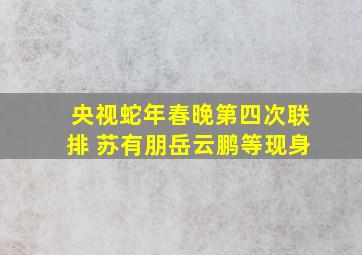 央视蛇年春晚第四次联排 苏有朋岳云鹏等现身